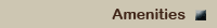 link_amenities